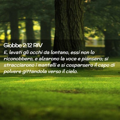 Picture 02 - Giobbe 2:12 RIV - E, levati gli occhi da lontano, essi non lo - Bible Verse Picture