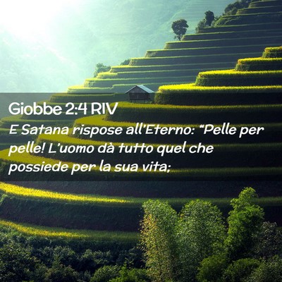 Picture 02 - Giobbe 2:4 RIV - E Satana rispose all’Eterno: “Pelle per - Bible Verse Picture