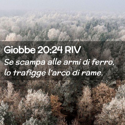 Picture 02 - Giobbe 20:24 RIV - Se scampa alle armi di ferro, lo trafigge - Bible Verse Picture