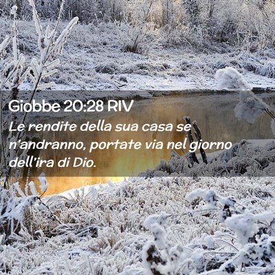 Picture 02 - Giobbe 20:28 RIV - Le rendite della sua casa se n’andranno, - Bible Verse Picture