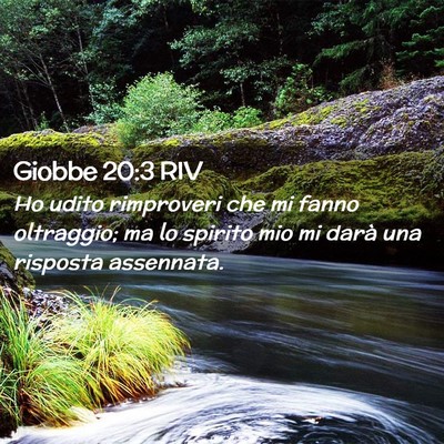 Picture 02 - Giobbe 20:3 RIV - Ho udito rimproveri che mi fanno oltraggio; ma lo - Bible Verse Picture