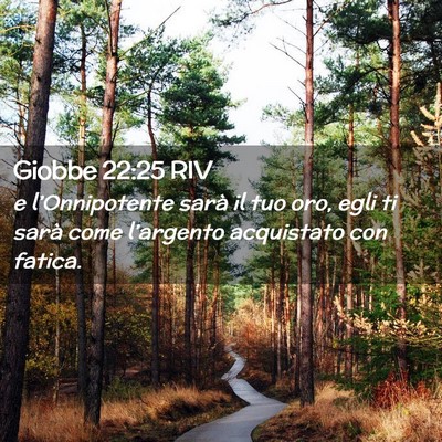Picture 02 - Giobbe 22:25 RIV - e l’Onnipotente sarà il tuo oro, egli ti sarà - Bible Verse Picture