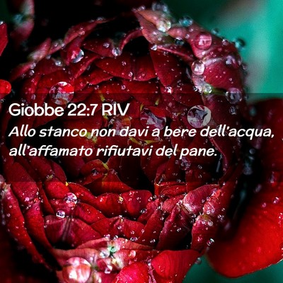 Picture 02 - Giobbe 22:7 RIV - Allo stanco non davi a bere dell’acqua, - Bible Verse Picture