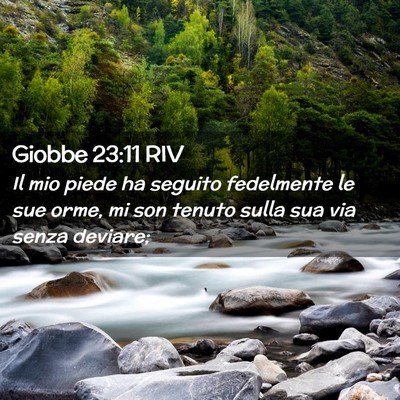 Picture 02 - Giobbe 23:11 RIV - Il mio piede ha seguito fedelmente le sue orme, - Bible Verse Picture