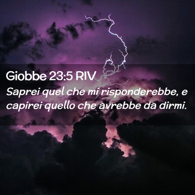 Picture 02 - Giobbe 23:5 RIV - Saprei quel che mi risponderebbe, e capirei - Bible Verse Picture