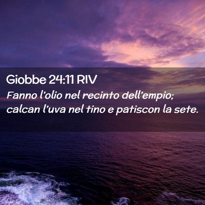 Picture 02 - Giobbe 24:11 RIV - Fanno l’olio nel recinto dell’empio; calcan - Bible Verse Picture