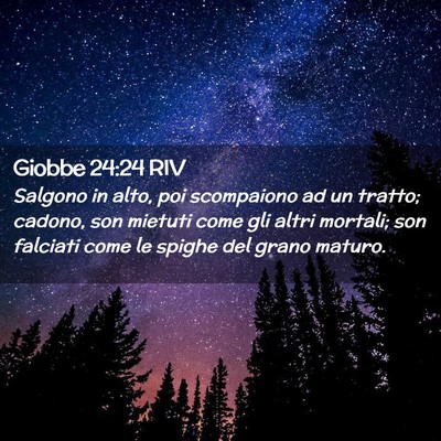 Picture 02 - Giobbe 24:24 RIV - Salgono in alto, poi scompaiono ad un tratto; - Bible Verse Picture