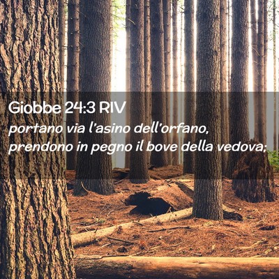 Picture 02 - Giobbe 24:3 RIV - portano via l’asino dell’orfano, prendono in - Bible Verse Picture