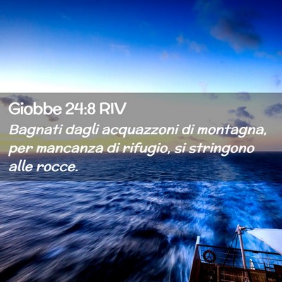 Picture 02 - Giobbe 24:8 RIV - Bagnati dagli acquazzoni di montagna, per - Bible Verse Picture