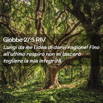 Picture 02 - Giobbe 27:5 RIV - Lungi da me l’idea di darvi ragione! Fino - Bible Verse Picture
