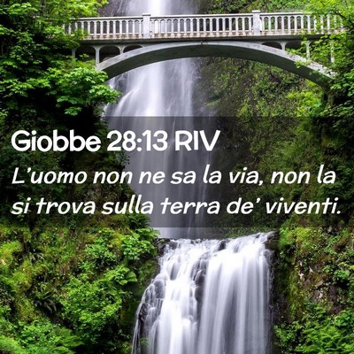 Picture 02 - Giobbe 28:13 RIV - L’uomo non ne sa la via, non la si trova sulla - Bible Verse Picture