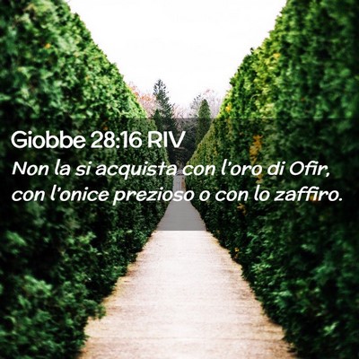 Picture 02 - Giobbe 28:16 RIV - Non la si acquista con l’oro di Ofir, con - Bible Verse Picture