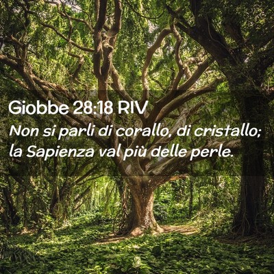 Picture 02 - Giobbe 28:18 RIV - Non si parli di corallo, di cristallo; la - Bible Verse Picture
