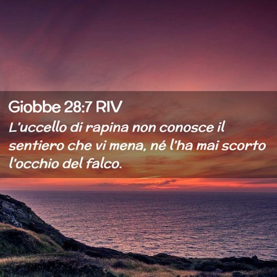 Picture 02 - Giobbe 28:7 RIV - L’uccello di rapina non conosce il sentiero che - Bible Verse Picture