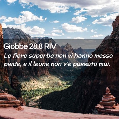 Picture 02 - Giobbe 28:8 RIV - Le fiere superbe non vi hanno messo piede, e il - Bible Verse Picture