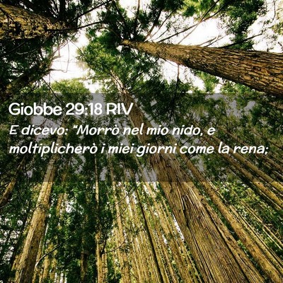 Picture 02 - Giobbe 29:18 RIV - E dicevo: “Morrò nel mio nido, e - Bible Verse Picture