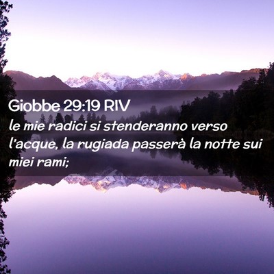 Picture 02 - Giobbe 29:19 RIV - le mie radici si stenderanno verso l’acque, la - Bible Verse Picture