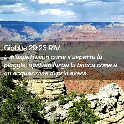 Picture 02 - Giobbe 29:23 RIV - E m’aspettavan come s’aspetta la pioggia; - Bible Verse Picture