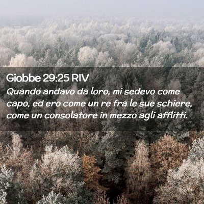 Picture 02 - Giobbe 29:25 RIV - Quando andavo da loro, mi sedevo come capo, ed - Bible Verse Picture