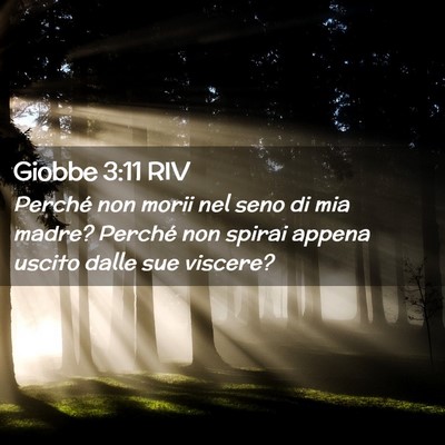 Picture 02 - Giobbe 3:11 RIV - Perché non morii nel seno di mia madre? Perché - Bible Verse Picture