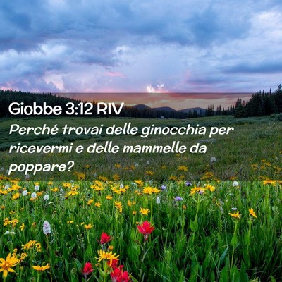 Picture 02 - Giobbe 3:12 RIV - Perché trovai delle ginocchia per ricevermi e - Bible Verse Picture
