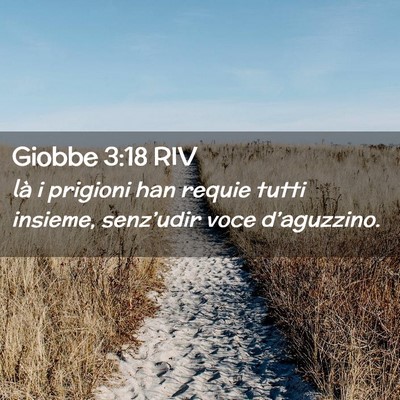 Picture 02 - Giobbe 3:18 RIV - là i prigioni han requie tutti insieme, - Bible Verse Picture