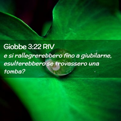 Picture 02 - Giobbe 3:22 RIV - e si rallegrerebbero fino a giubilarne, - Bible Verse Picture