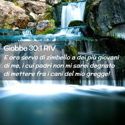 Picture 02 - Giobbe 30:1 RIV - E ora servo di zimbello a dei più giovani di me, - Bible Verse Picture