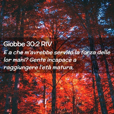 Picture 02 - Giobbe 30:2 RIV - E a che m’avrebbe servito la forza delle lor - Bible Verse Picture