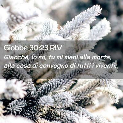 Picture 02 - Giobbe 30:23 RIV - Giacché, lo so, tu mi meni alla morte, alla casa - Bible Verse Picture