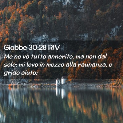 Picture 02 - Giobbe 30:28 RIV - Me ne vo tutto annerito, ma non dal sole; mi levo - Bible Verse Picture