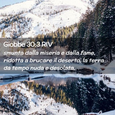 Picture 02 - Giobbe 30:3 RIV - smunta dalla miseria e dalla fame, ridotta a - Bible Verse Picture