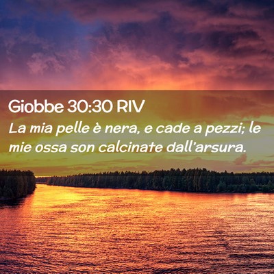 Picture 02 - Giobbe 30:30 RIV - La mia pelle è nera, e cade a pezzi; le mie ossa - Bible Verse Picture