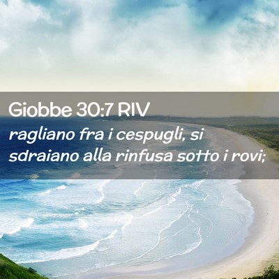 Picture 02 - Giobbe 30:7 RIV - ragliano fra i cespugli, si sdraiano alla rinfusa - Bible Verse Picture