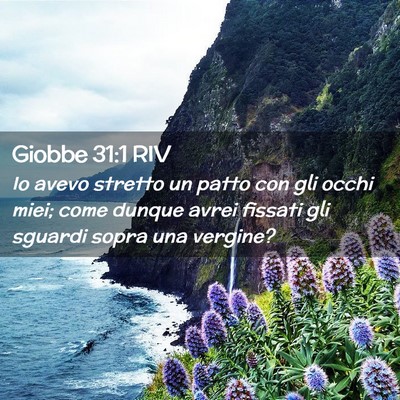 Picture 02 - Giobbe 31:1 RIV - Io avevo stretto un patto con gli occhi miei; - Bible Verse Picture