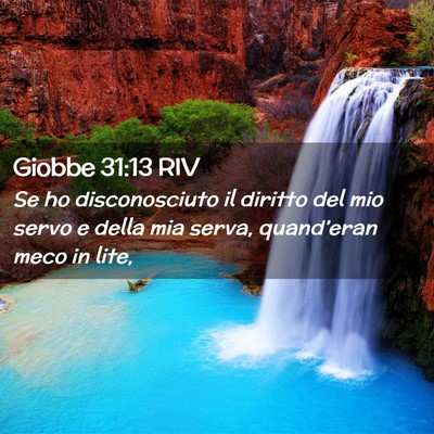 Picture 02 - Giobbe 31:13 RIV - Se ho disconosciuto il diritto del mio servo e - Bible Verse Picture