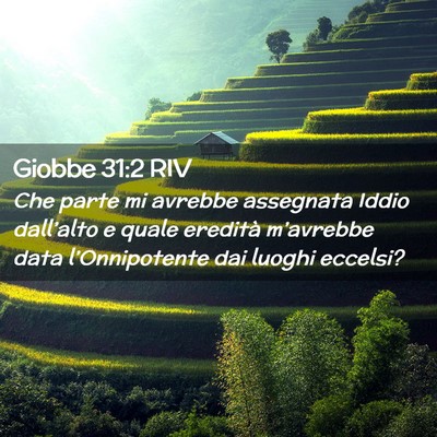Picture 02 - Giobbe 31:2 RIV - Che parte mi avrebbe assegnata Iddio dall’alto - Bible Verse Picture