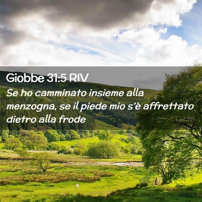Picture 02 - Giobbe 31:5 RIV - Se ho camminato insieme alla menzogna, se il - Bible Verse Picture