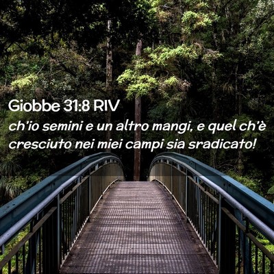 Picture 02 - Giobbe 31:8 RIV - ch’io semini e un altro mangi, e quel ch’è - Bible Verse Picture