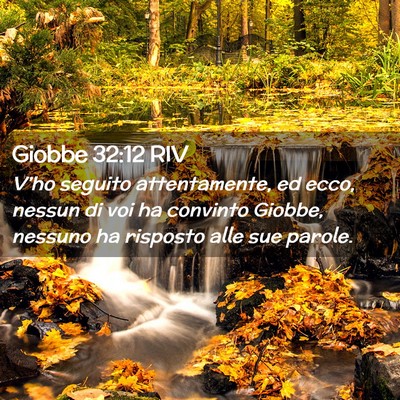 Picture 02 - Giobbe 32:12 RIV - V’ho seguito attentamente, ed ecco, nessun di - Bible Verse Picture