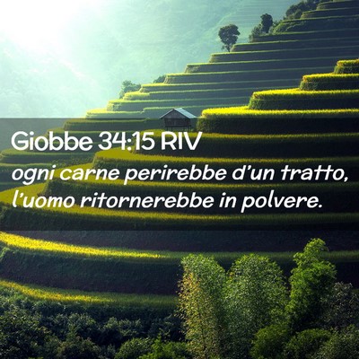Picture 02 - Giobbe 34:15 RIV - ogni carne perirebbe d’un tratto, l’uomo - Bible Verse Picture