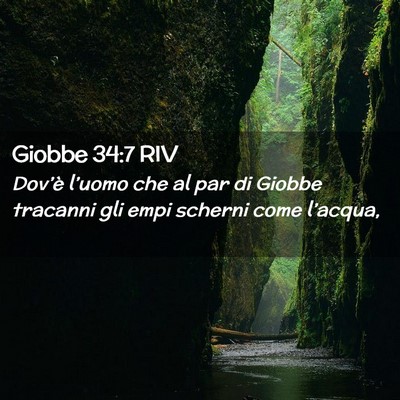 Picture 02 - Giobbe 34:7 RIV - Dov’è l’uomo che al par di Giobbe tracanni - Bible Verse Picture