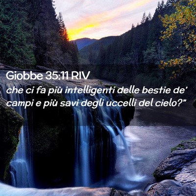 Picture 02 - Giobbe 35:11 RIV - che ci fa più intelligenti delle bestie de’ - Bible Verse Picture