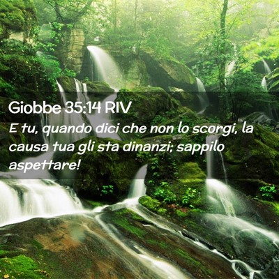 Picture 02 - Giobbe 35:14 RIV - E tu, quando dici che non lo scorgi, la causa tua - Bible Verse Picture
