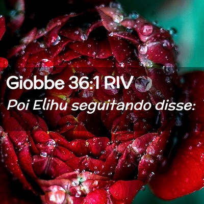 Picture 02 - Giobbe 36:1 RIV - Poi Elihu seguitando - Bible Verse Picture