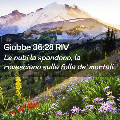 Picture 02 - Giobbe 36:28 RIV - Le nubi la spandono, la rovesciano sulla folla - Bible Verse Picture