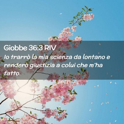 Picture 02 - Giobbe 36:3 RIV - Io trarrò la mia scienza da lontano e renderò - Bible Verse Picture