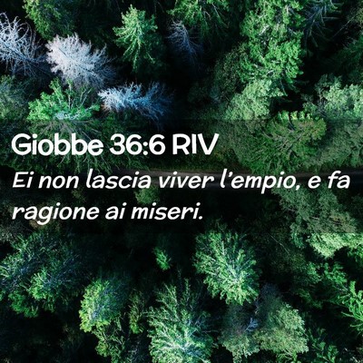 Picture 02 - Giobbe 36:6 RIV - Ei non lascia viver l’empio, e fa ragione ai - Bible Verse Picture