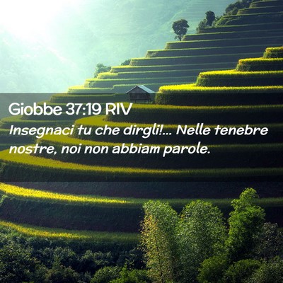 Picture 02 - Giobbe 37:19 RIV - Insegnaci tu che dirgli!… Nelle tenebre nostre, - Bible Verse Picture
