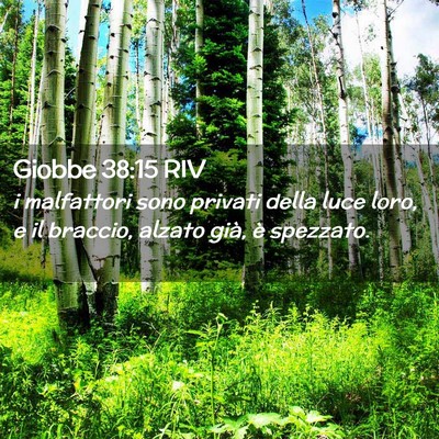 Picture 02 - Giobbe 38:15 RIV - i malfattori sono privati della luce loro, e il - Bible Verse Picture